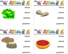 Holzcomputer fruit-vegetable 10.pdf